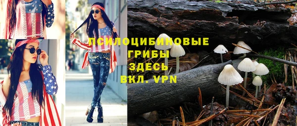 дурь Верхний Тагил